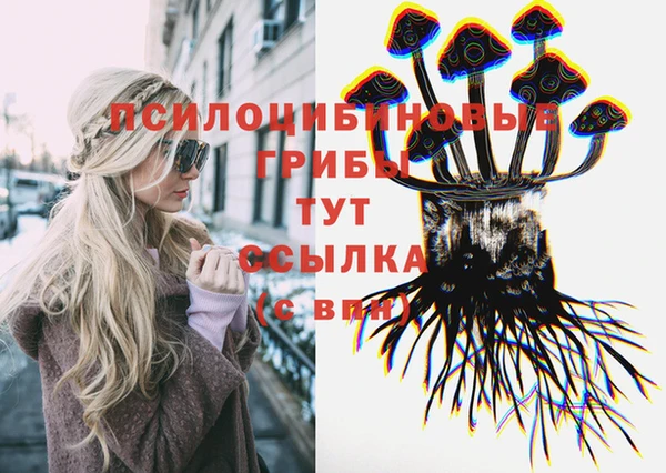 мяу мяу мука Заводоуковск