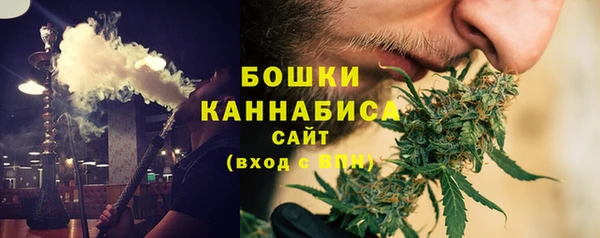 ешки Ельня