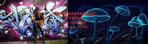 мяу мяу мука Елизово