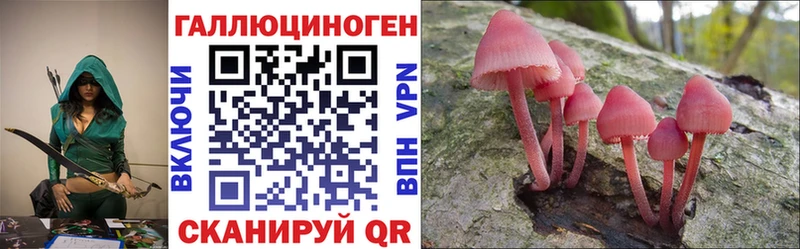 Купить где  Коряжма  Псилоцибиновые грибы прущие грибы 